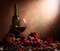 2025���Ї��t���ИI(y��)ȫ��������(b��o)���Ƥ�����t���ИI(y��)�I�N��λ-�t���ИI(y��)������ԃ-�ɶ�������ԃ��˾��