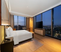 2025���Ї��Ƶ��ИI(y��)�l(f��)չ��Ƥ�����Ƶ��ИI(y��)ʮ����Ҏ(gu��)��-�Ƶ��ИI(y��)��(zh��n)��Ҏ(gu��)��-�Ƶ��ИI(y��)������ԃ-�ɶ�������ԃ��˾��