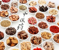 2025���Ї���ˎ���ИI(y��)��������Ƥ������ˎ���ИI(y��)�I�N�߄�-��ˎ���ИI(y��)������ԃ-�ɶ�������ԃ��˾��