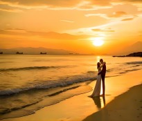 2025���Ї��鼆�zӰ�ИI(y��)������桾�鼆�zӰ�ИI(y��)�I�N�߄�-�鼆�zӰ�ИI(y��)������ԃ-�ɶ�������ԃ��˾��