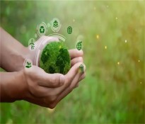 ��ʮ����Ҏ(gu��)���a�I(y��)��桿���xʮ���壺�²��Ϯa�I(y��)����ǰ��ͻ���c�a�I(y��)�x�ܣ��춨δ���a�I(y��)��ʯ